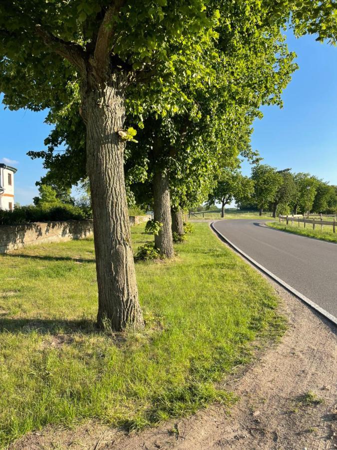 Mitten In Der Natur : Ferienwohnung Mit 3 Schlafzimmern, Neu Eingerichtet Neu Gaarz Экстерьер фото